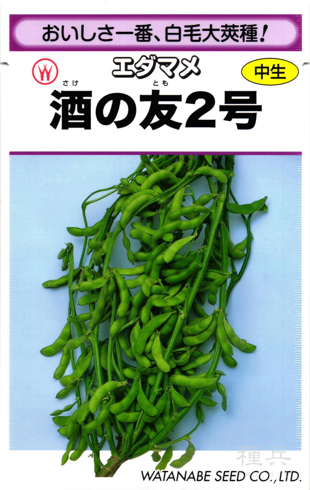中生エダマメ 種 『酒の友２号』  渡辺採種場