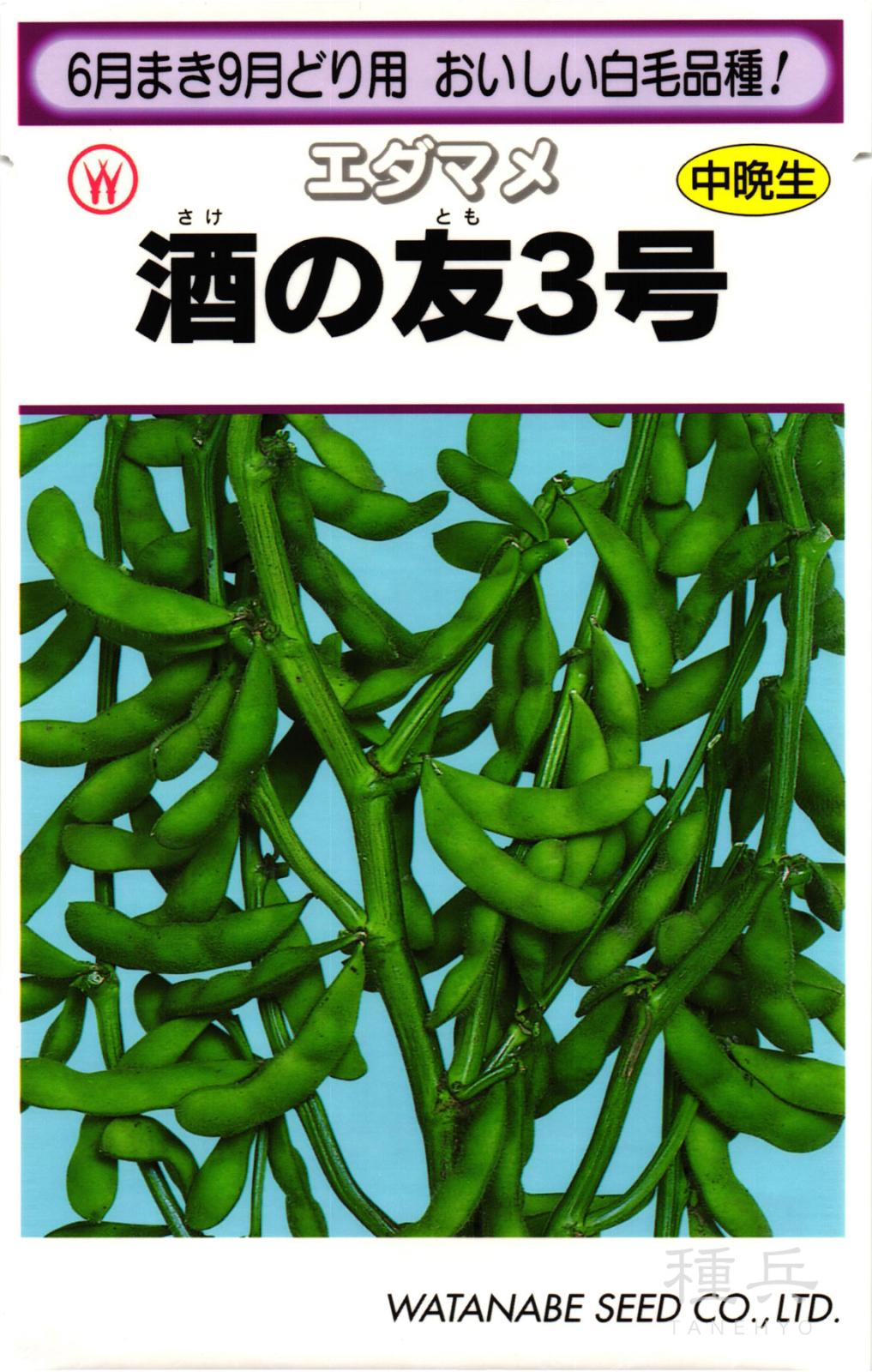 中晩生エダマメ 種 『酒の友３号』  渡辺採種場