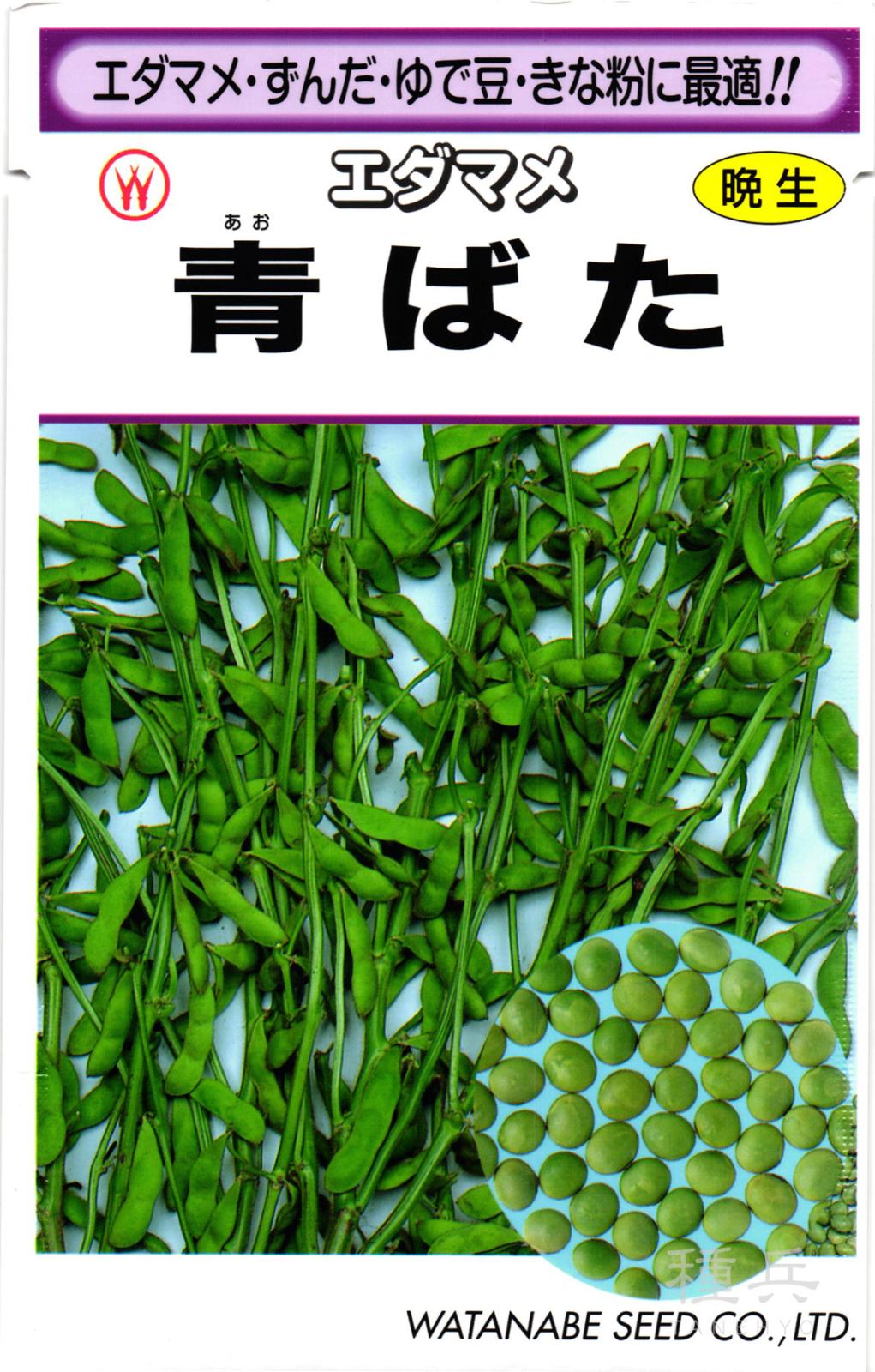 晩生エダマメ 種 『青ばた』  渡辺採種場