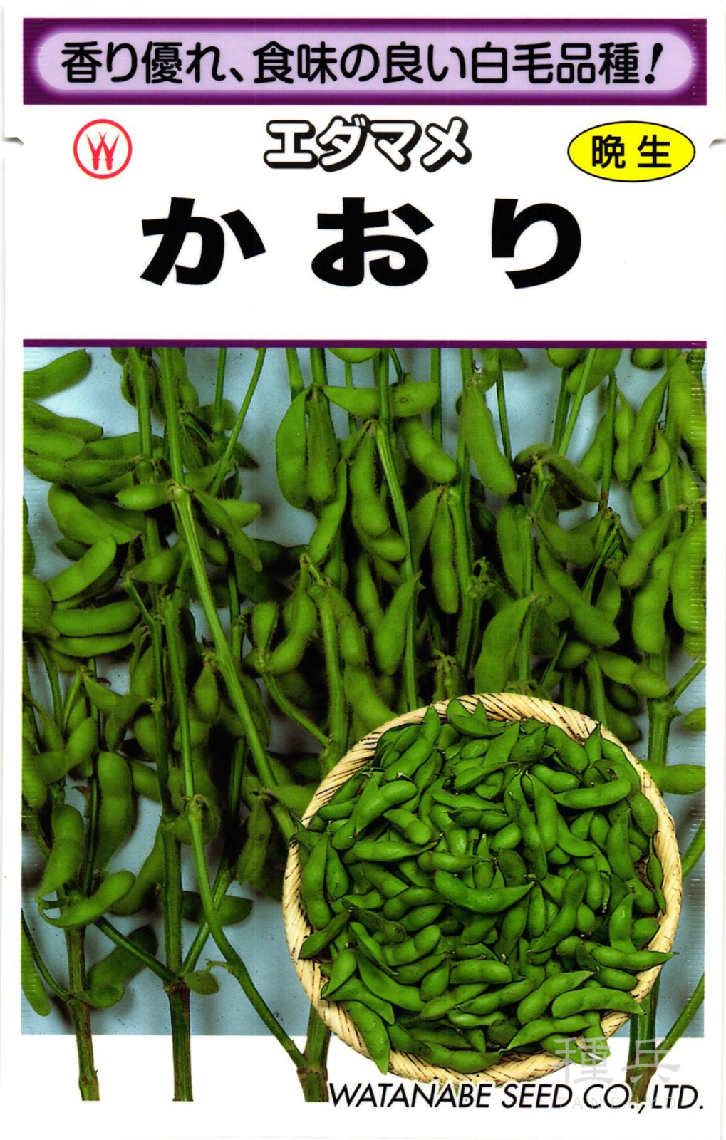 晩生エダマメ 種 『かおり』  渡辺採種場