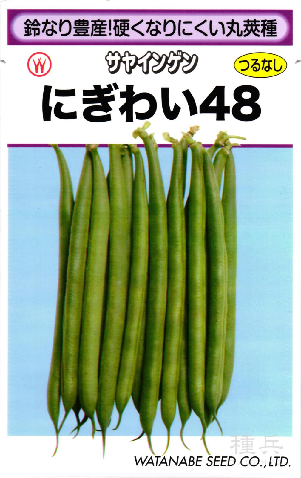 つるなしインゲン 種 『にぎわい４８』  渡辺採種場