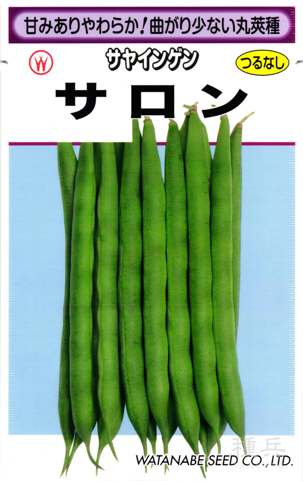 つるなしインゲン 種 『サロン』  渡辺採種場