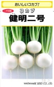 小カブ 種 『健明二号』  渡辺採種場