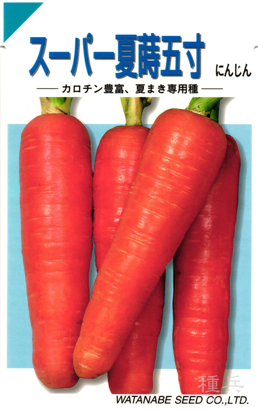ニンジン 種 『スーパー夏蒔五寸』  渡辺採種場