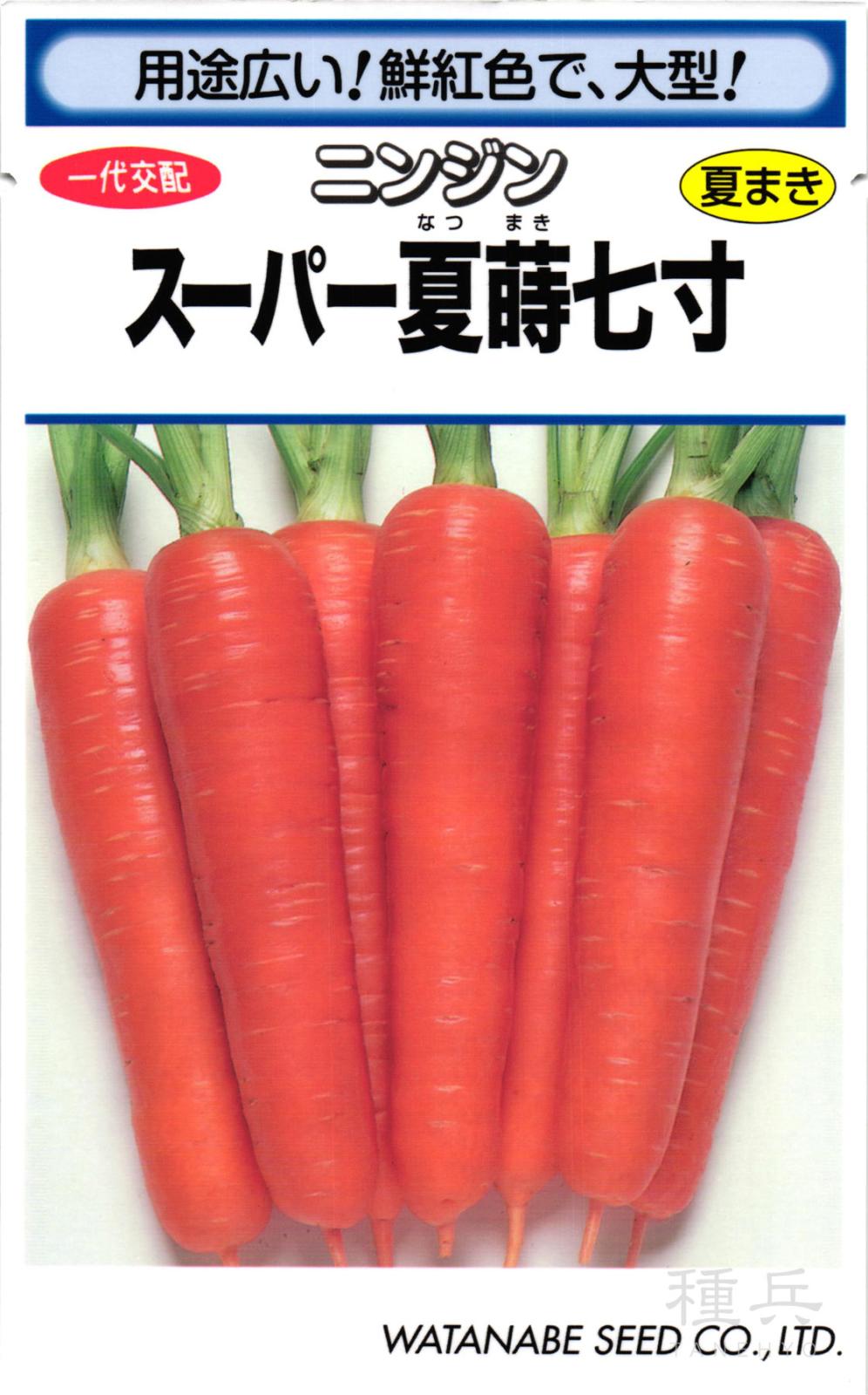 ニンジン 種 『スーパー夏蒔七寸』  渡辺採種場