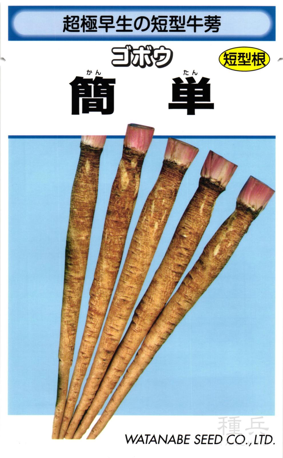 ゴボウ 種 『簡単』  渡辺採種場