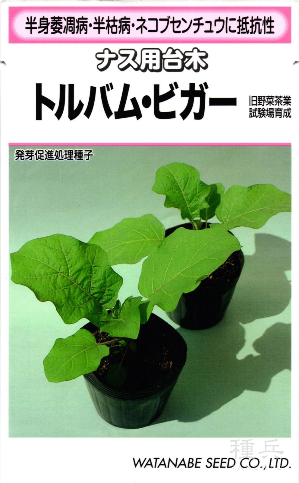 たね,果菜の種,台木用品種,ナス台木 | 種兵ネットショッピング