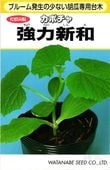 キュウリ台木 種 『強力新和』  渡辺採種場