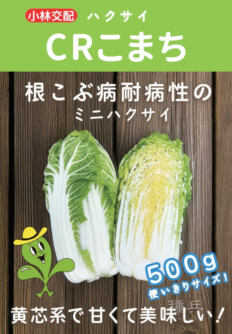 ミニハクサイ 種 『CRこまち』  小林種苗