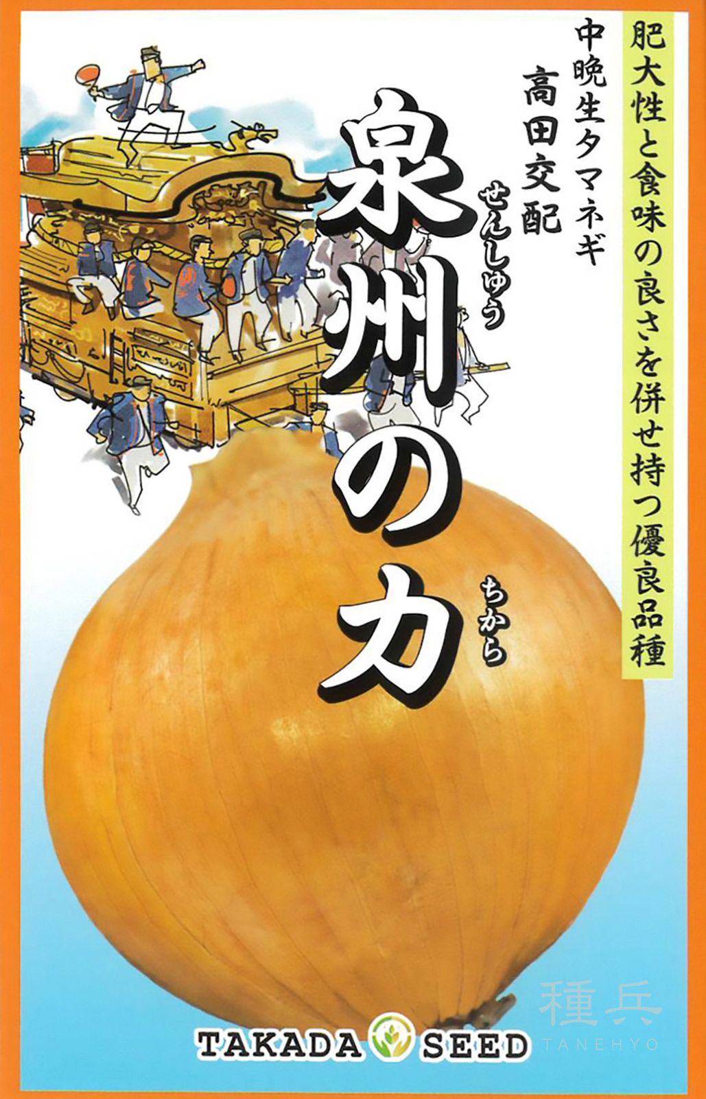 中晩生タマネギ 種 『泉州の力』  高田種苗