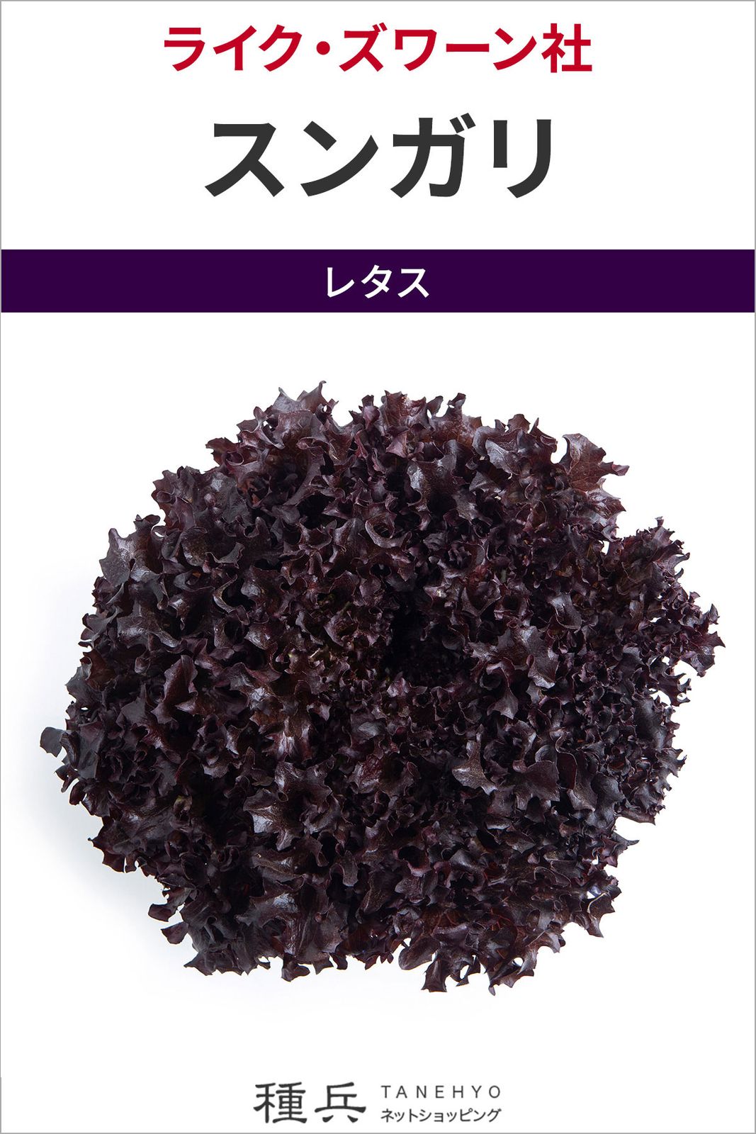リーフレタス 種 『スンガリ』  ライクズワーン