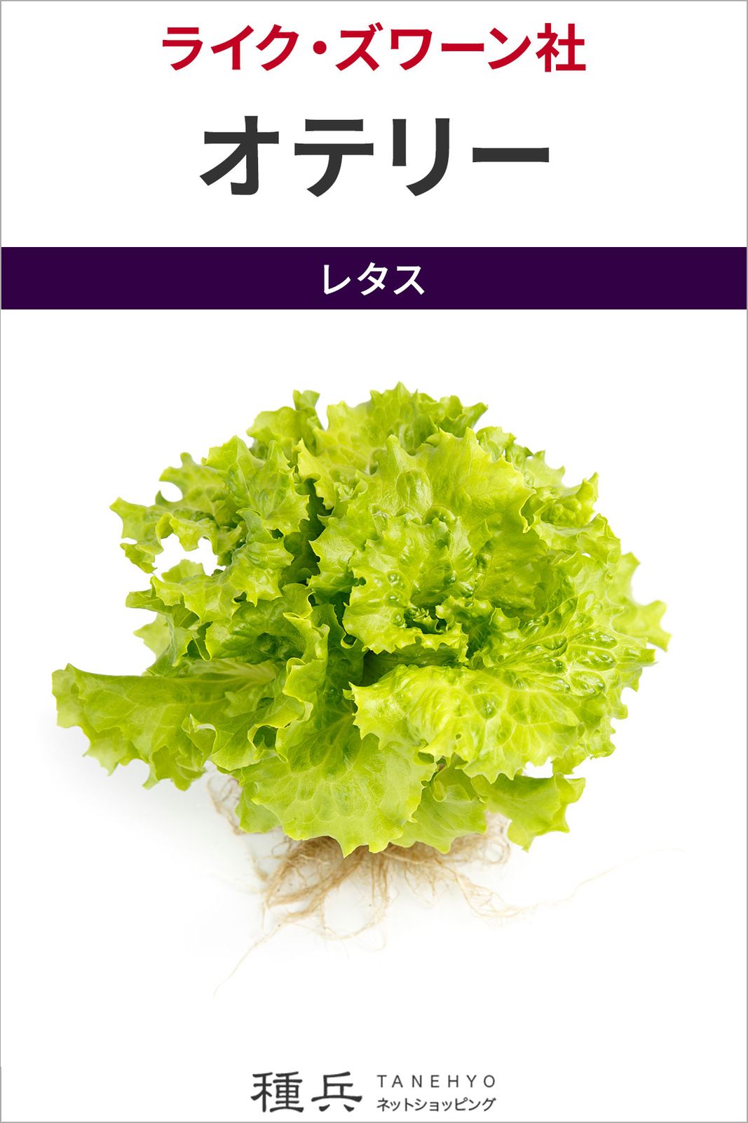 リーフレタス 種 『オテリー』  ライクズワーン