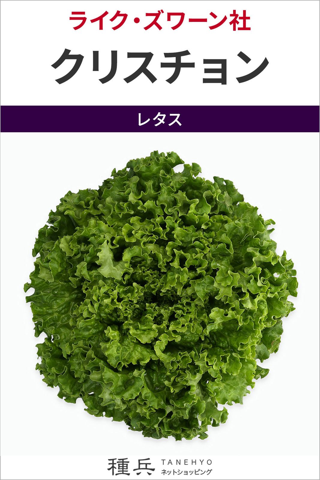 リーフレタス 種 『クリスチョン』  ライクズワーン