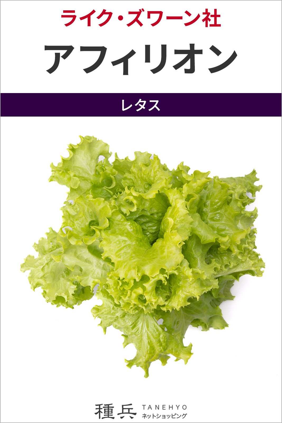 リーフレタス 種 『パシフィケーション』  ライクズワーン
