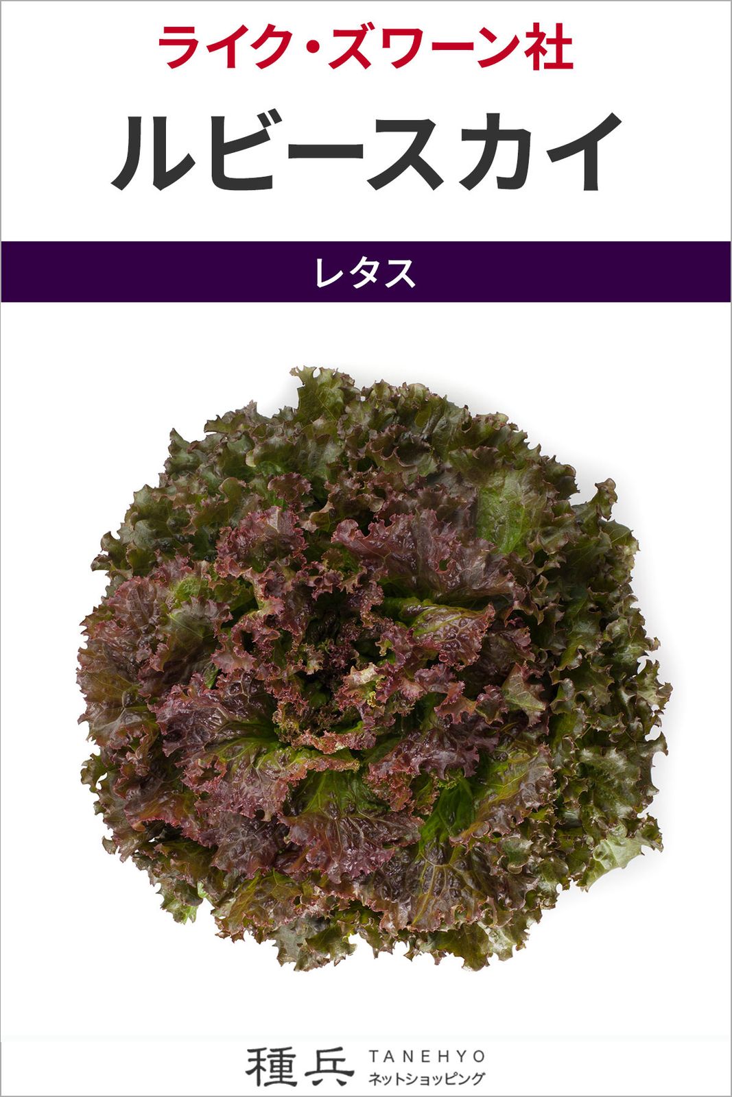 リーフレタス 種 『ルビースカイ』  ライクズワーン