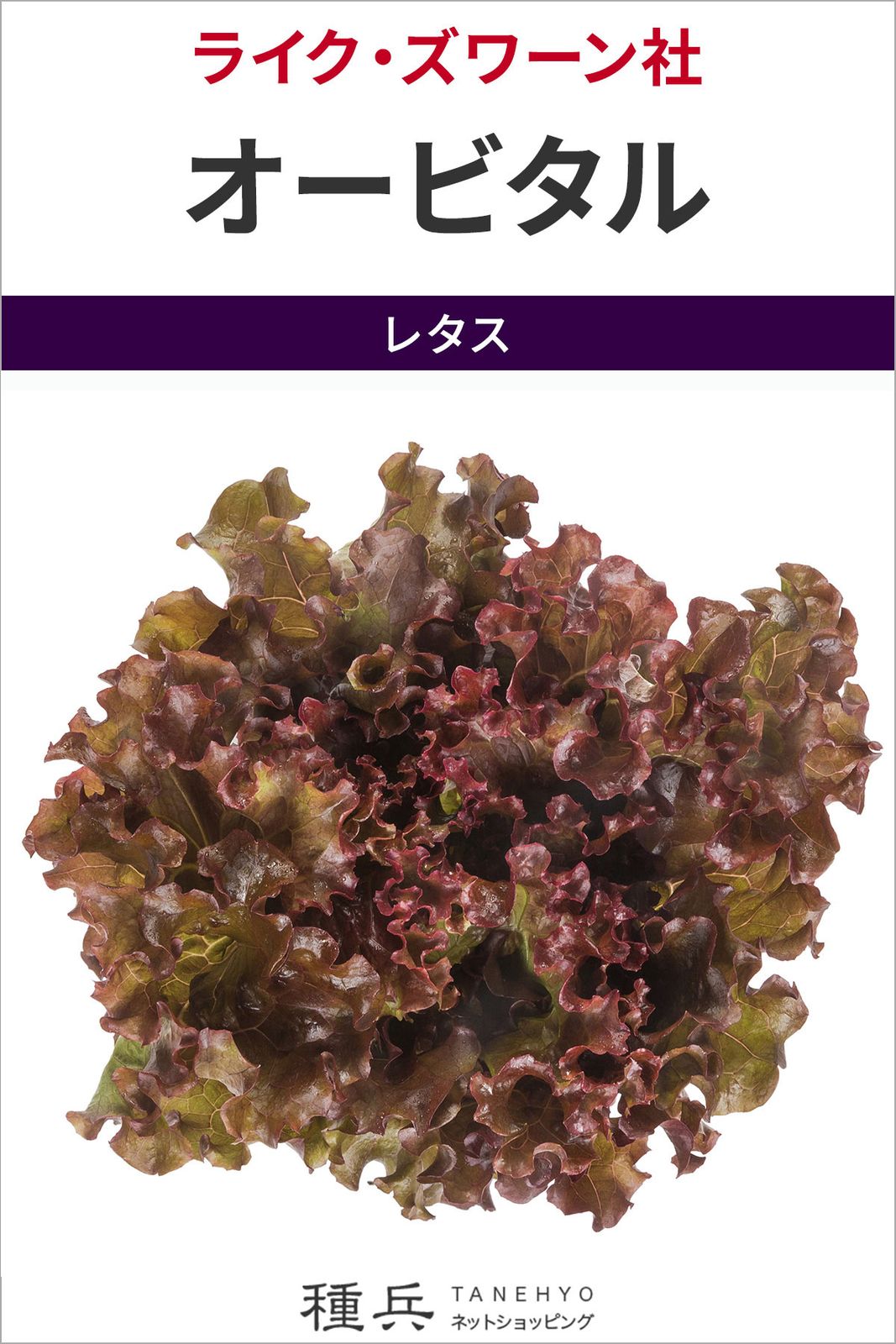 リーフレタス 種 『オービタル』  ライクズワーン