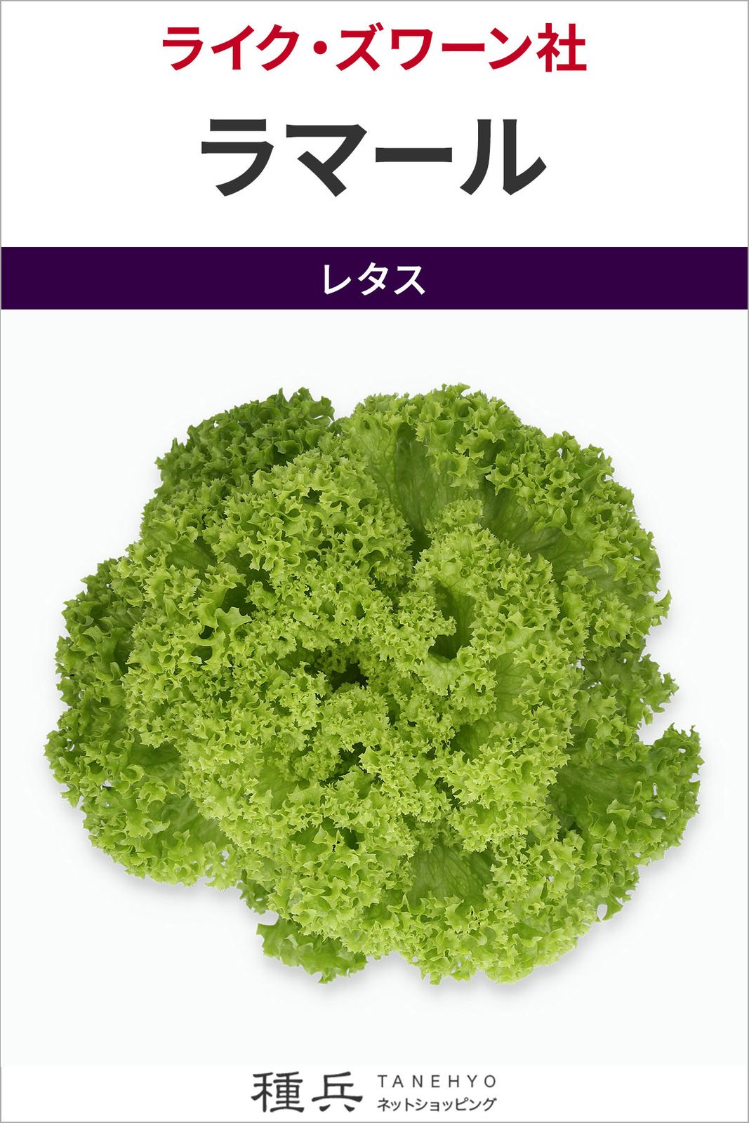リーフレタス 種 『ラマール』  ライクズワーン