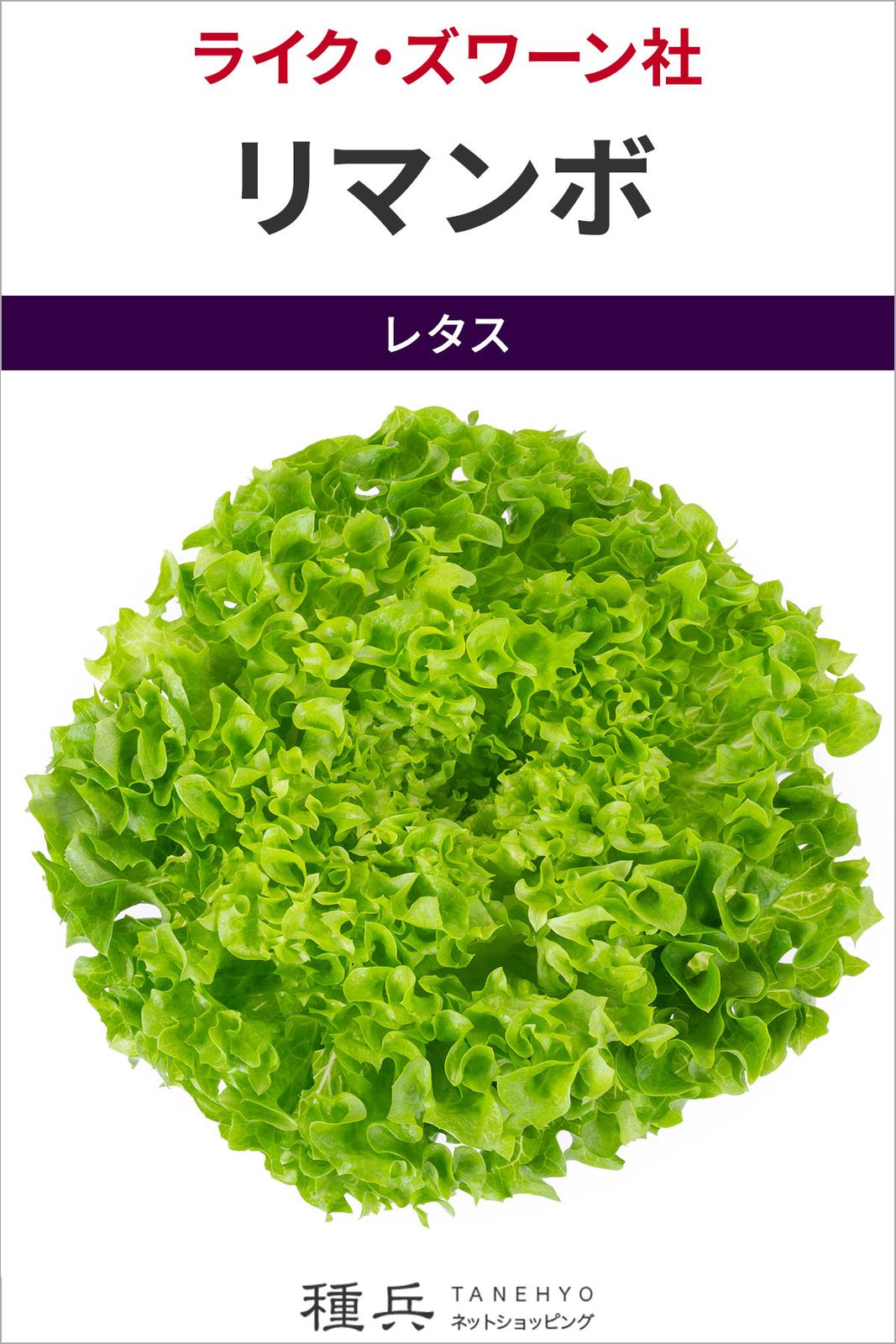 リーフレタス 種 『リマンボ』  ライクズワーン