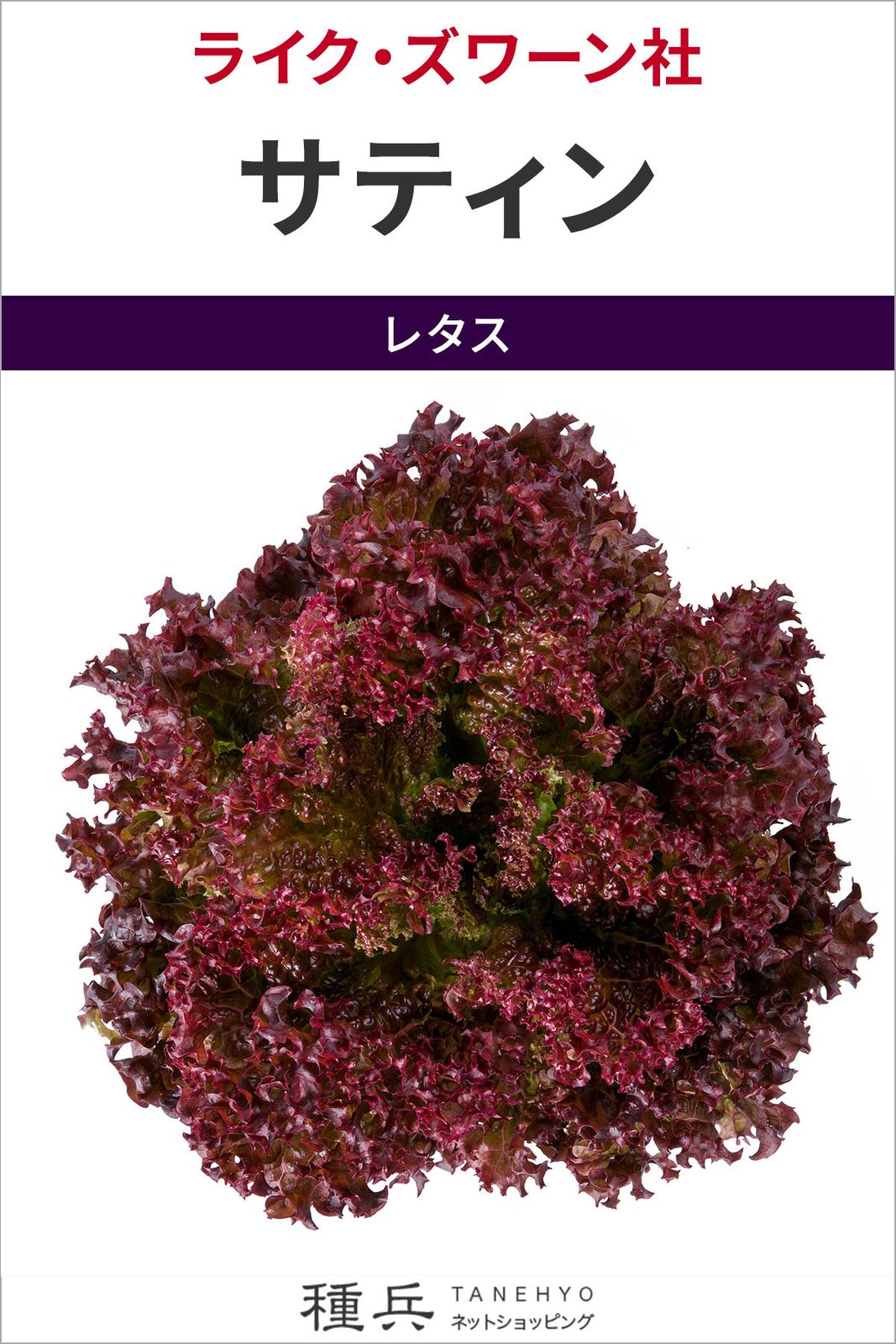 リーフレタス 種 『サティン』  ライクズワーン