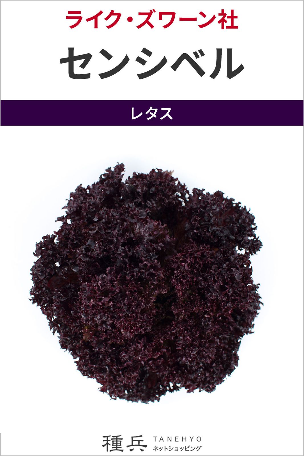 リーフレタス 種 『センシベル』  ライクズワーン