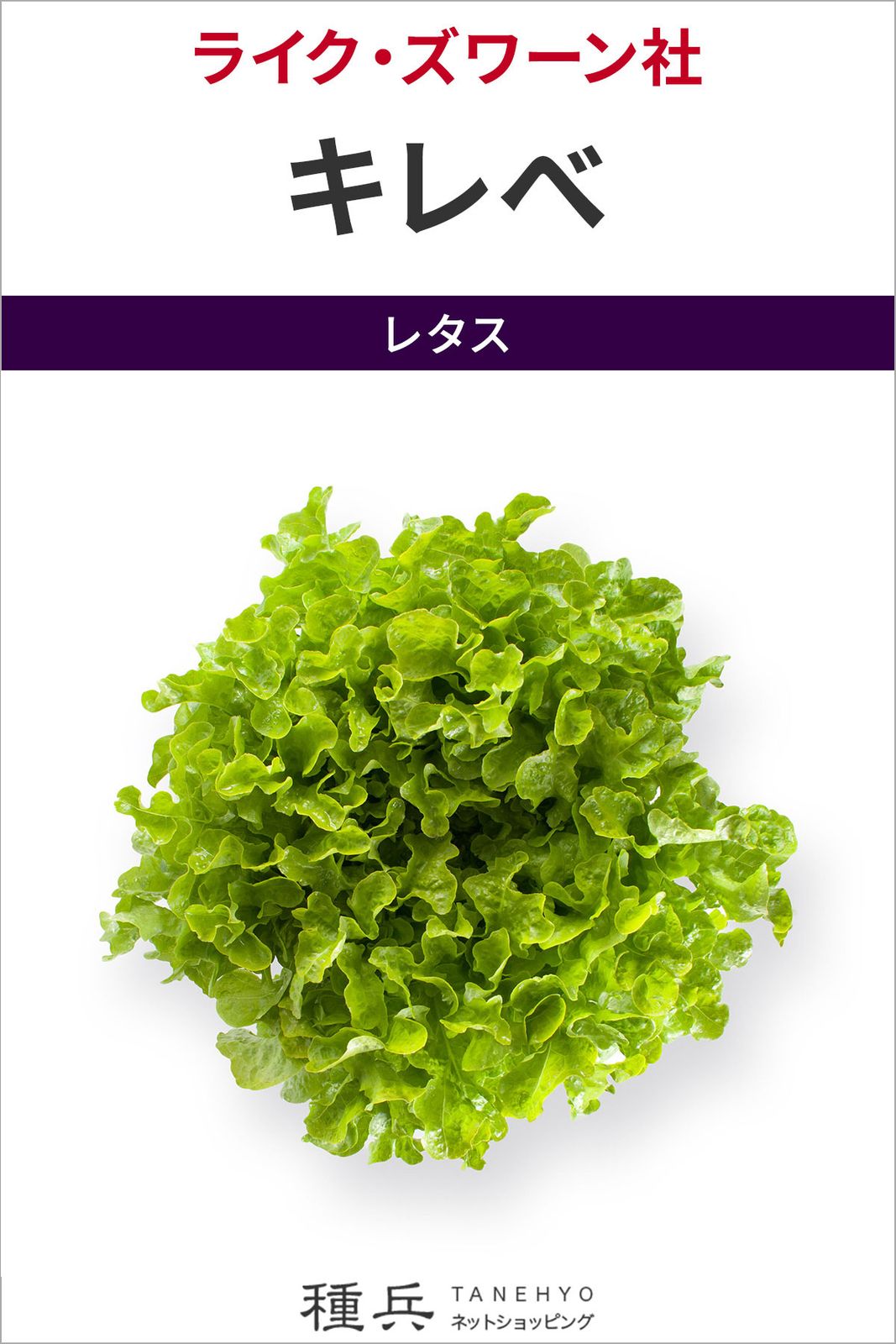 リーフレタス 種 『キレべ』  ライクズワーン