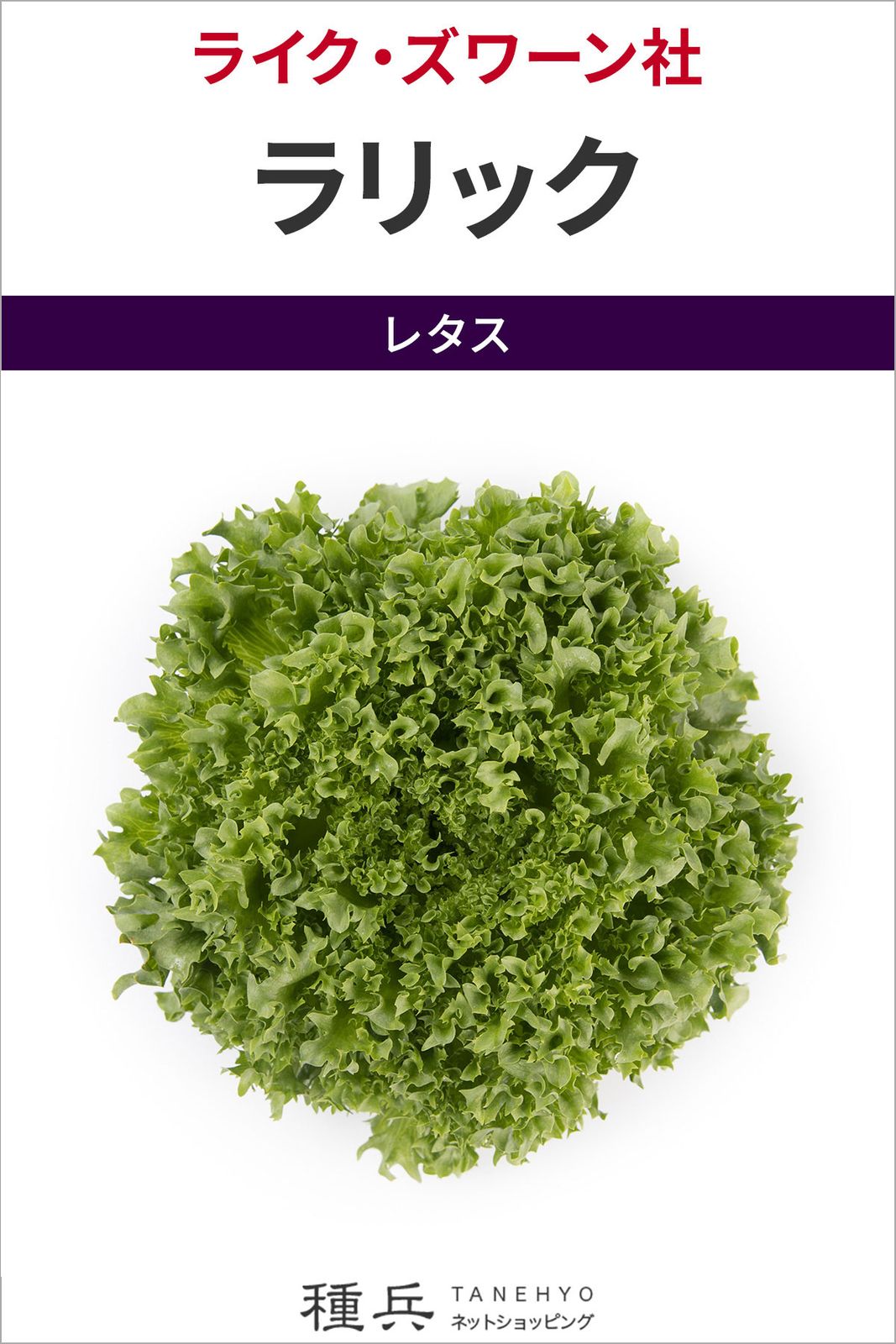 フリルレタス 種 『ラリック』  ライクズワーン