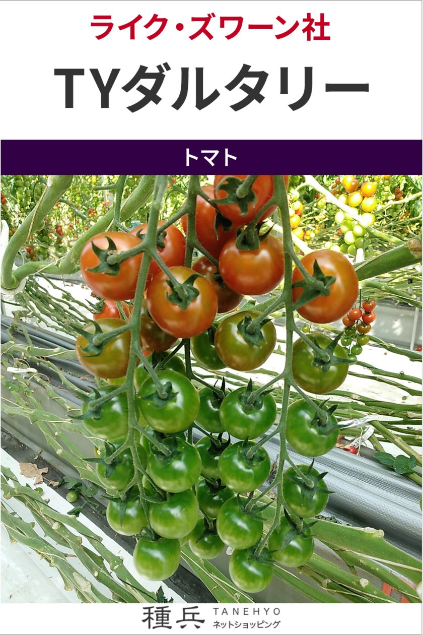 たね,果菜の種,トマト,ミニトマト | 種兵ネットショッピング