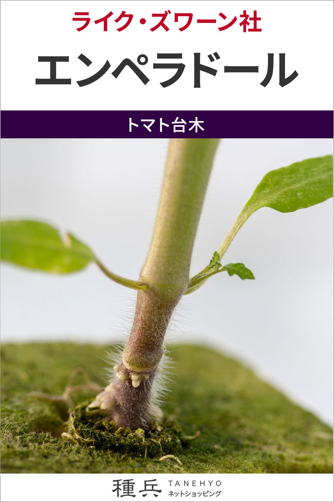 トマト台木 種 『エンペラドール』  ライクズワーン
