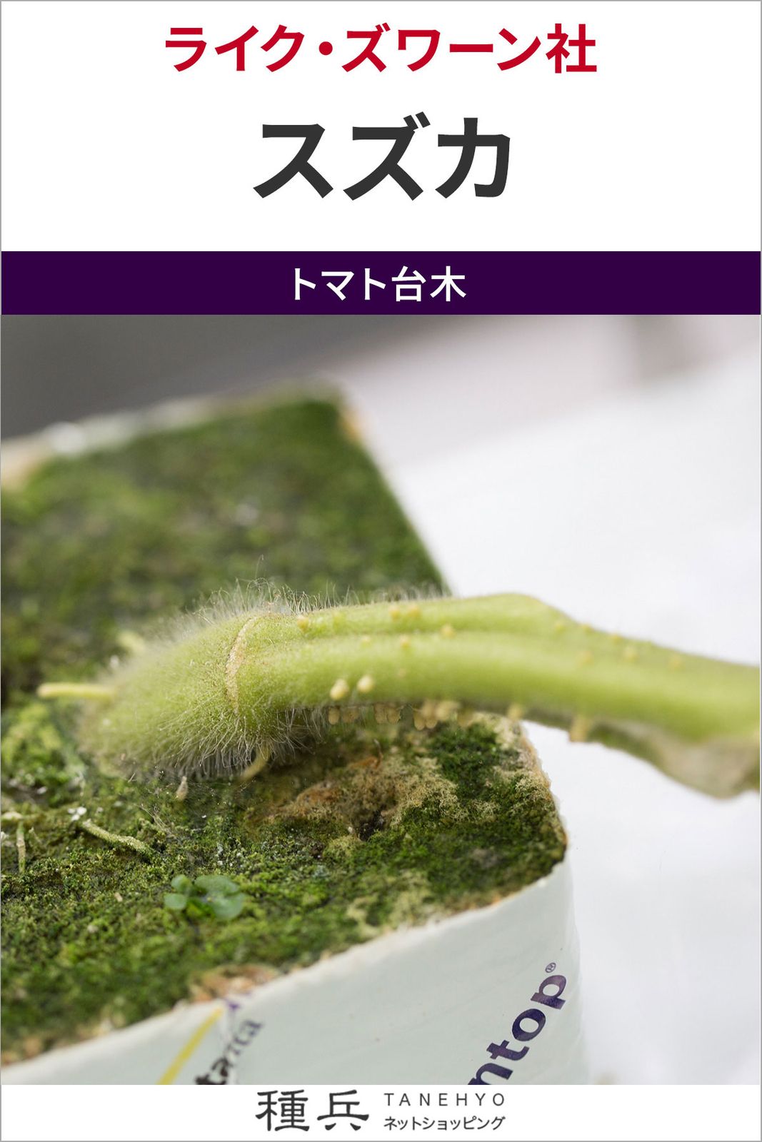 トマト台木 種 『スズカ』  ライクズワーン