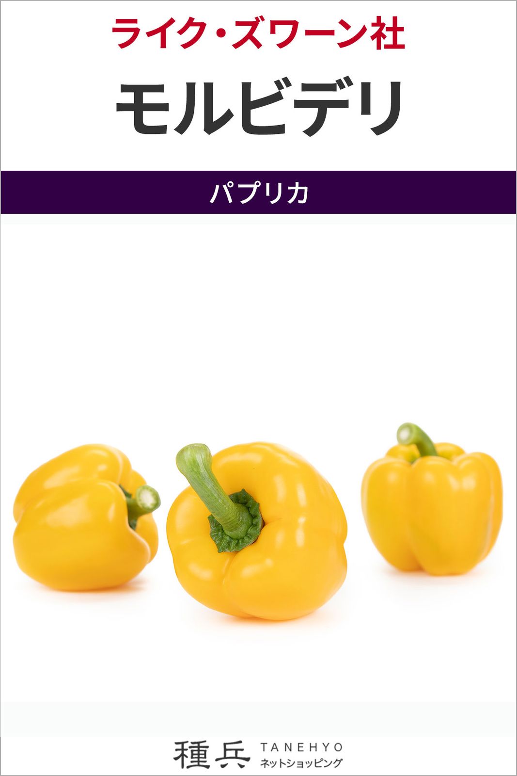 黄パプリカ 種 『モルビデリ』  ライクズワーン