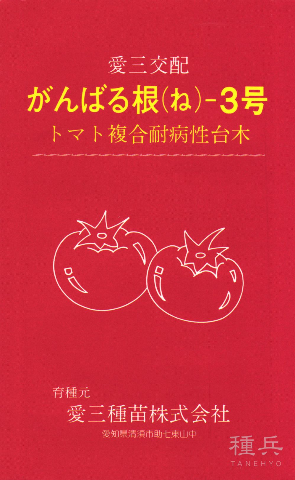トマト台木 種 『がんばる根3号』  愛三種苗