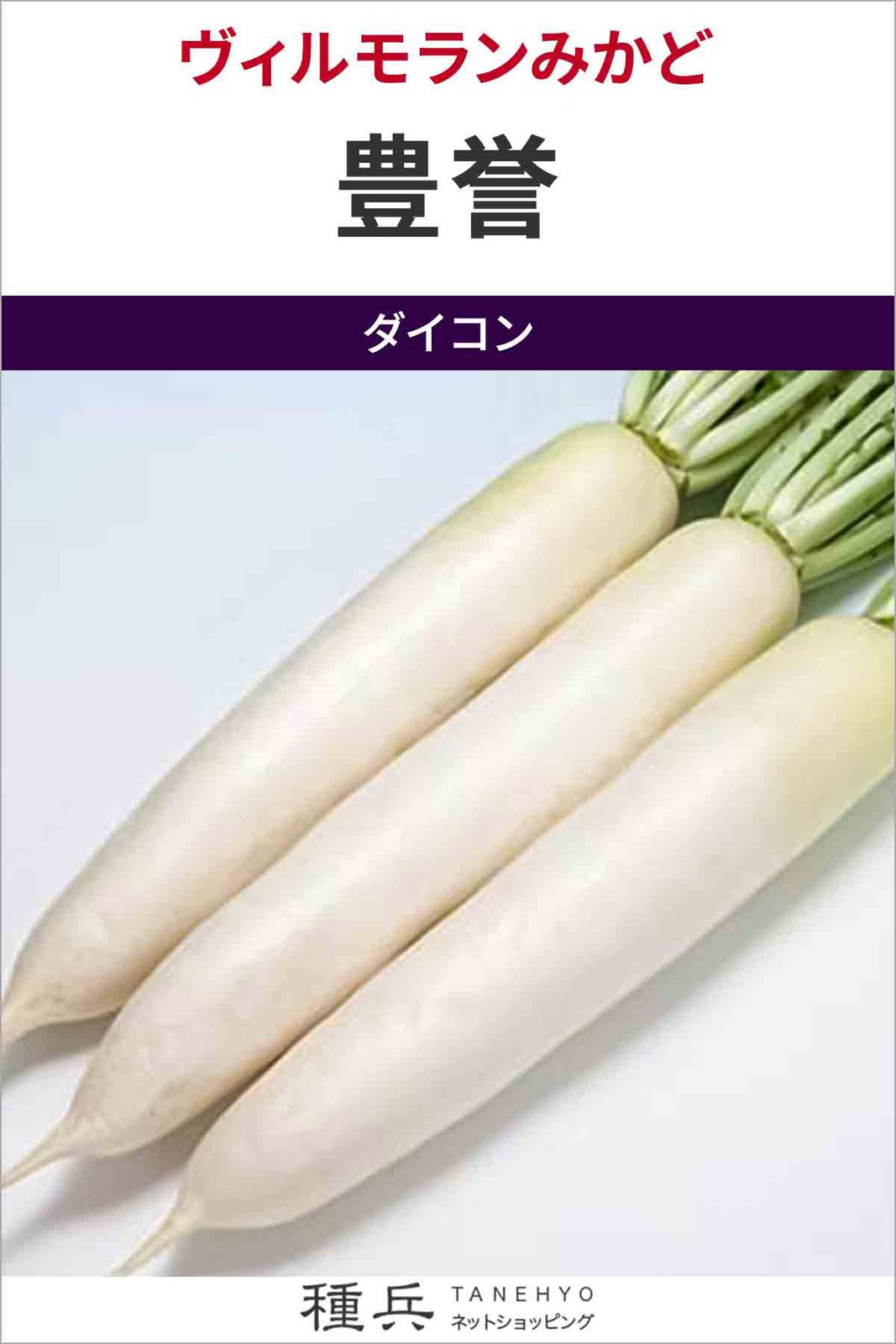 ダイコン 種 『豊誉』  ヴィルモランみかど