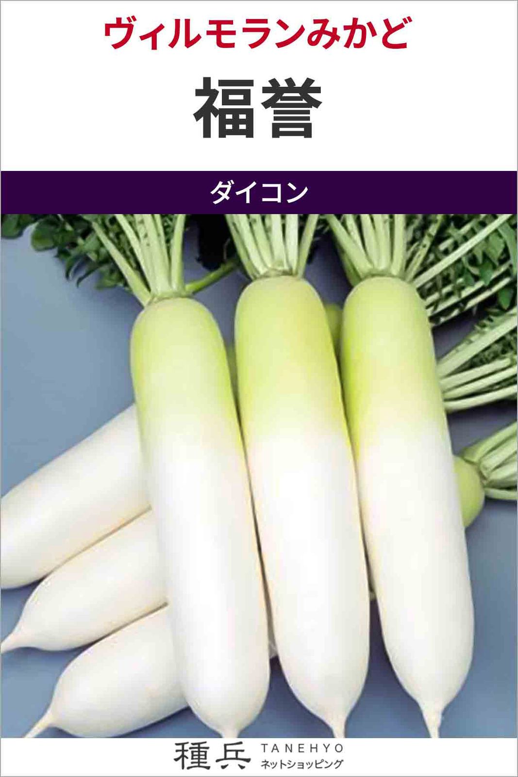 ダイコン 種 『福誉』  ヴィルモランみかど