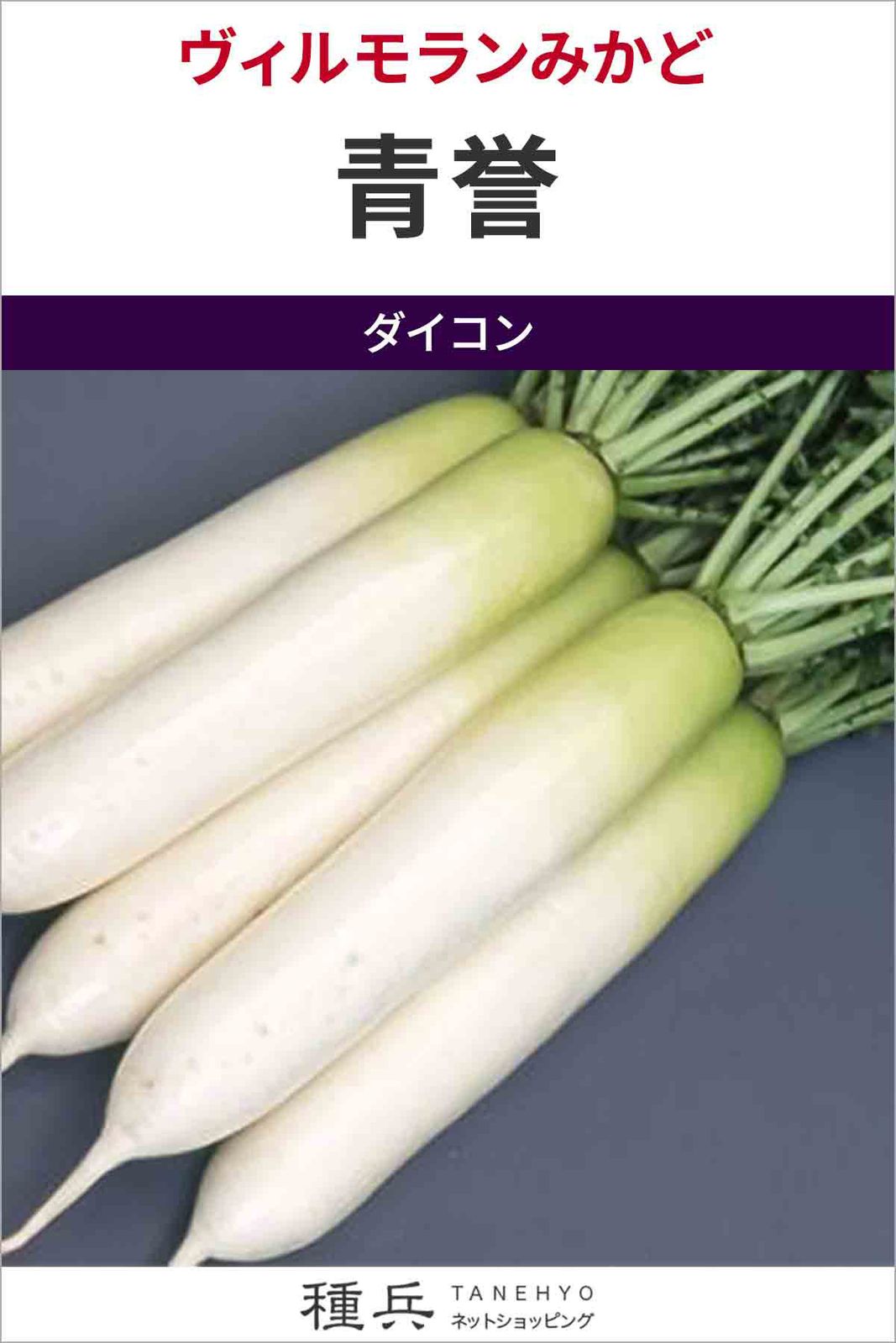 ダイコン 種 『青誉』  ヴィルモランみかど