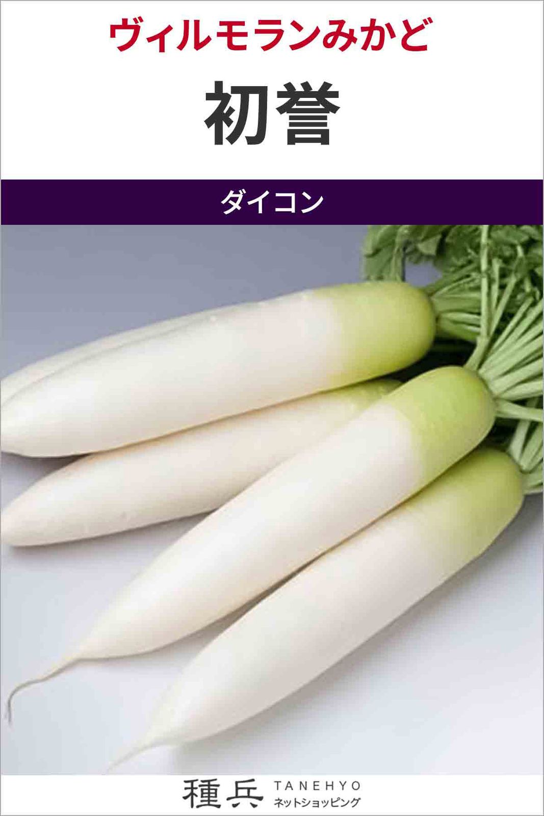 ダイコン 種 『初誉』  ヴィルモランみかど