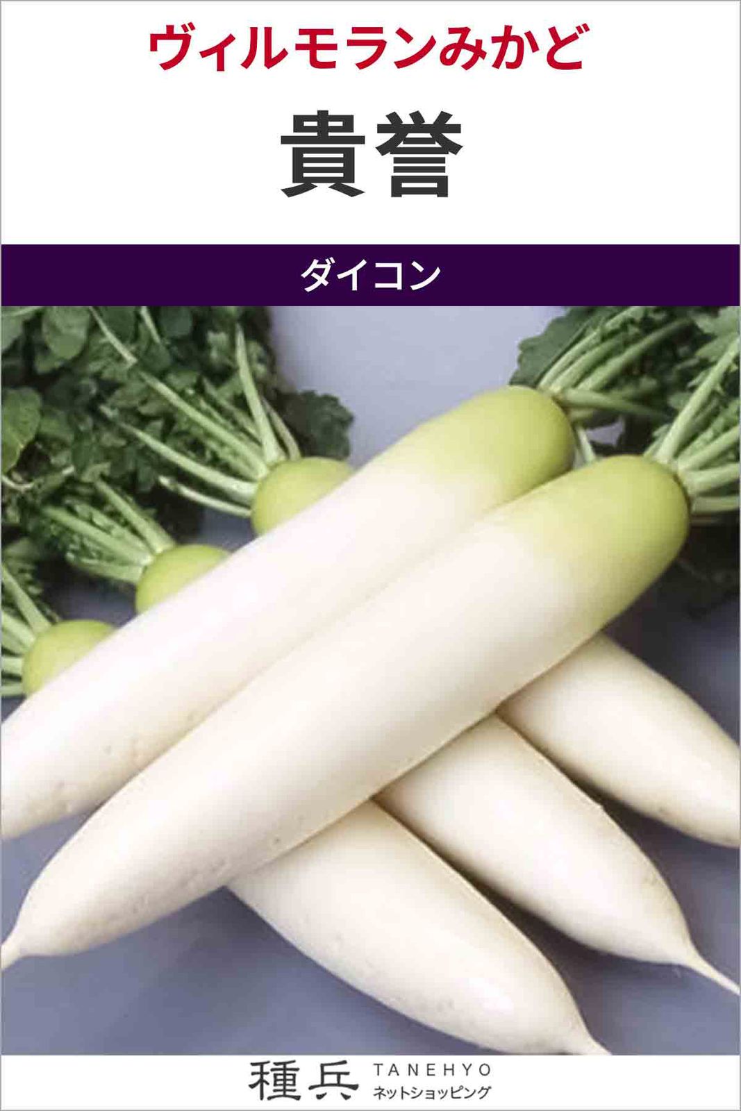 ダイコン 種 『貴誉』  ヴィルモランみかど