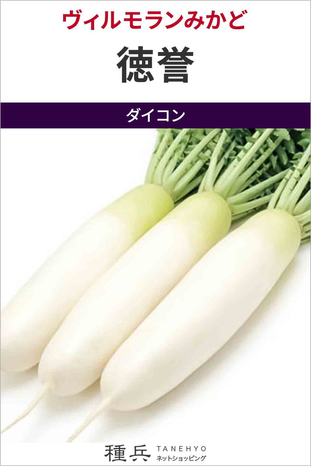 ダイコン 種 『徳誉』  ヴィルモランみかど