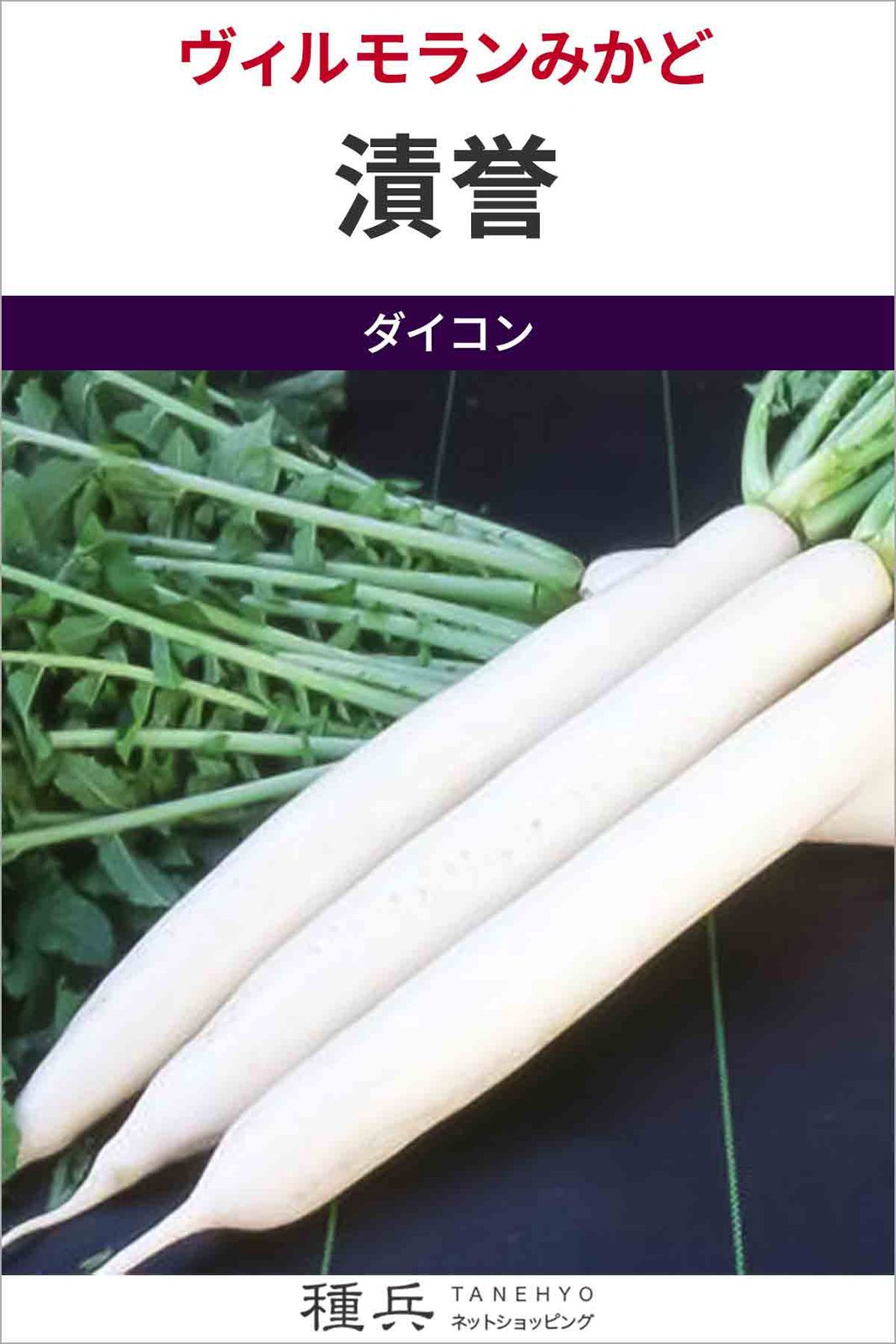 ダイコン 種 『漬誉』  ヴィルモランみかど
