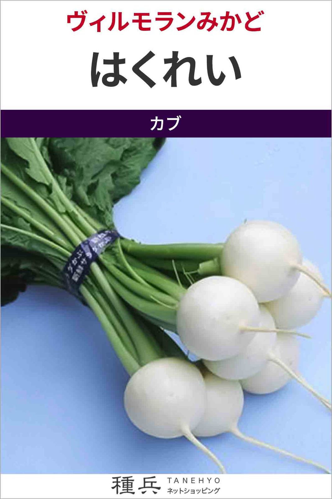 中早生カブ 種 『はくれい』  ヴィルモランみかど
