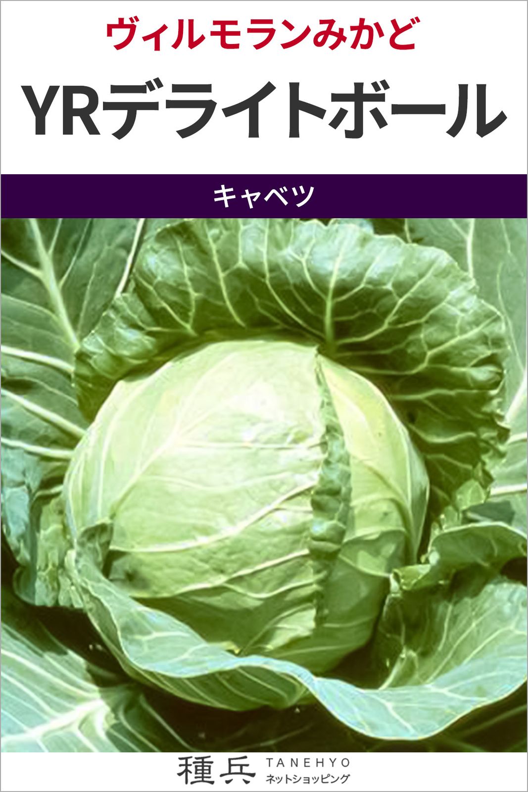 ボールキャベツ 種 『YRデライトボール』  ヴィルモランみかど