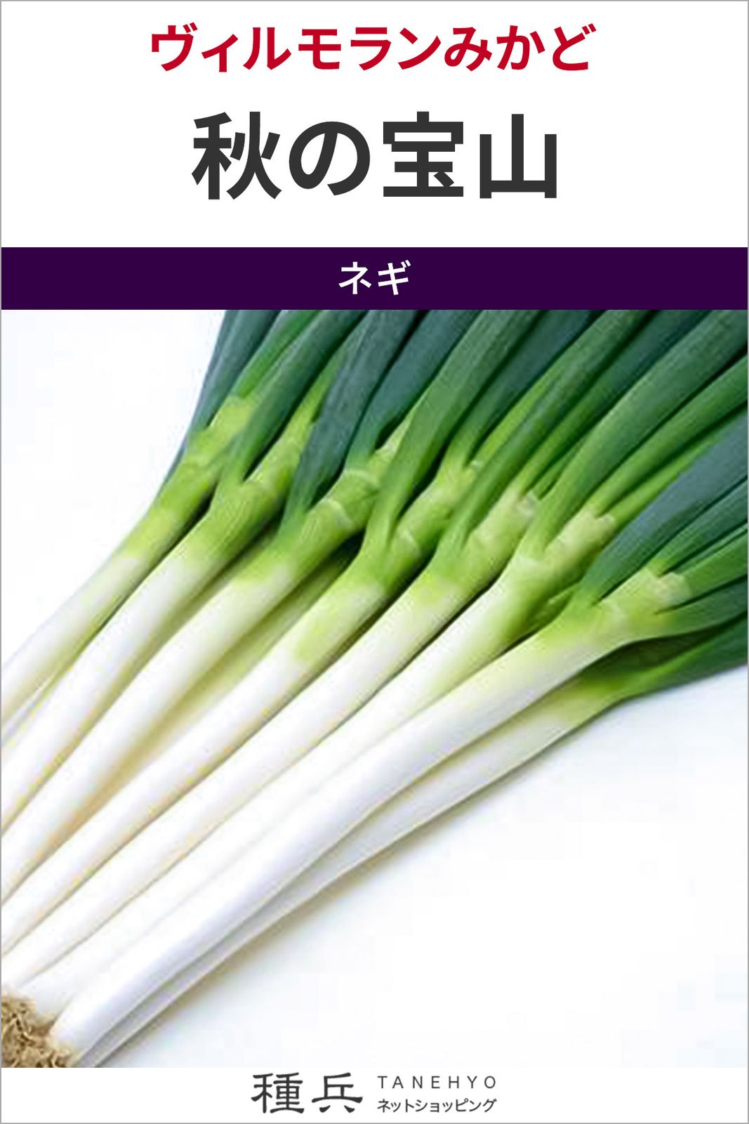 根深ネギ 種 『秋の宝山』  ヴィルモランみかど