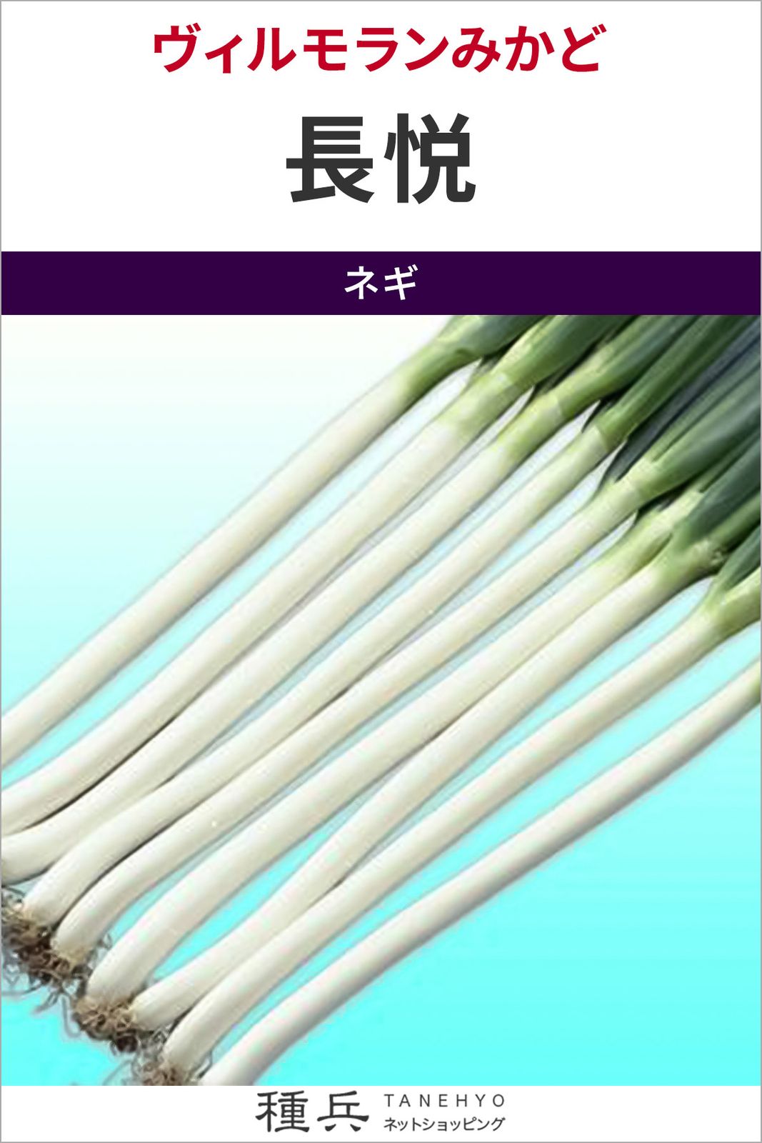 根深ネギ 種 『長悦』  ヴィルモランみかど