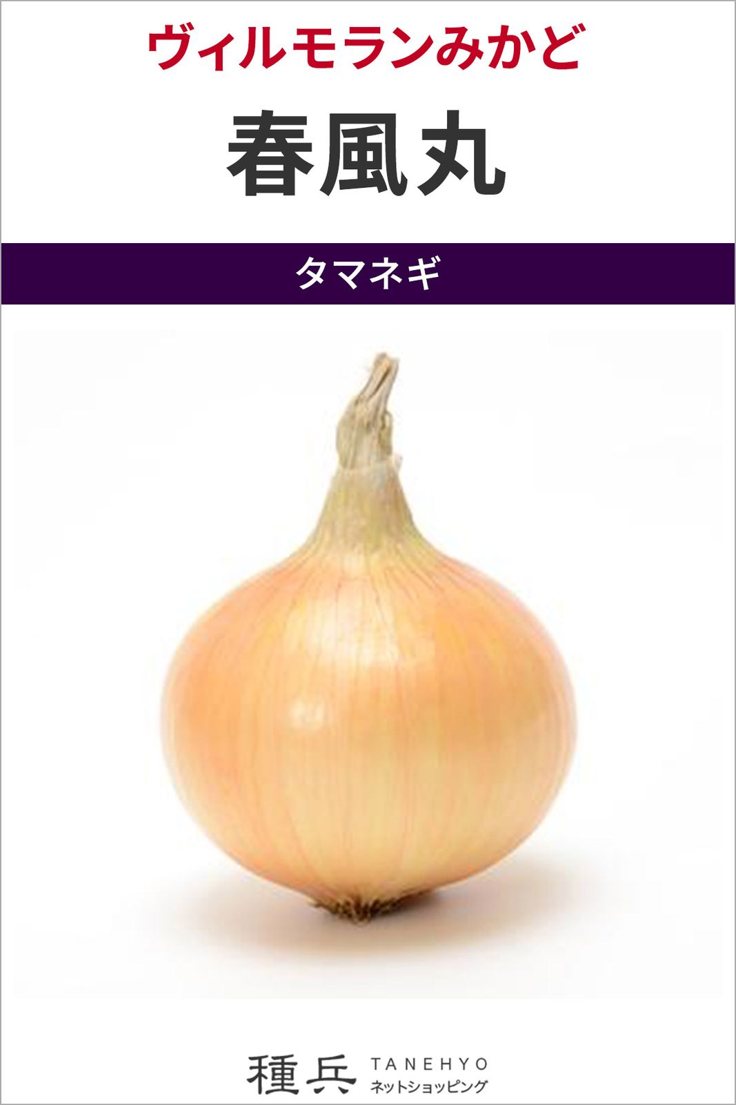 超極早生タマネギ 種 『春風丸』  ヴィルモランみかど
