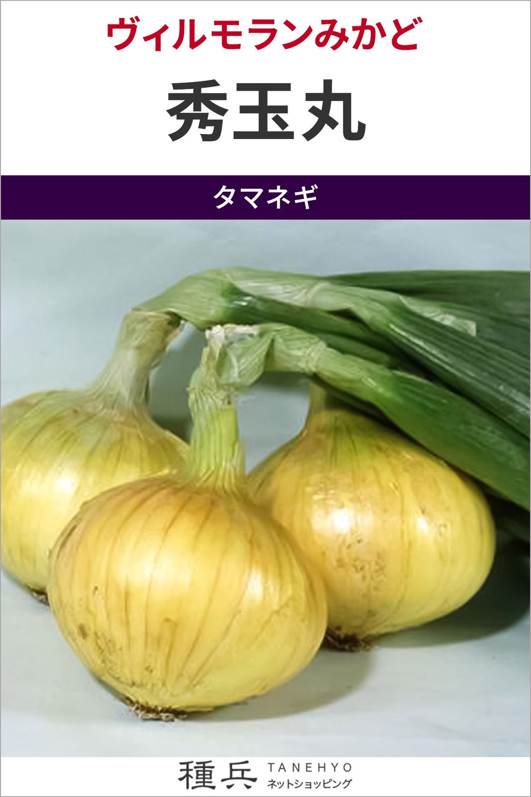 早生タマネギ 種 『秀玉丸』  ヴィルモランみかど