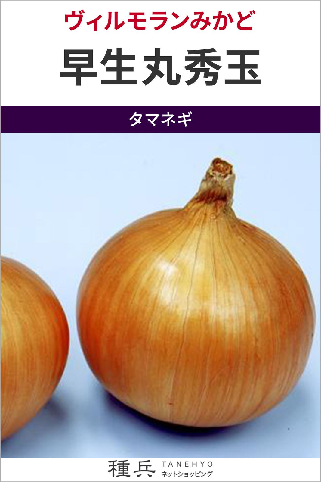 たね,根菜の種,タマネギ,極早生～早生タマネギ | 種兵ネットショッピング