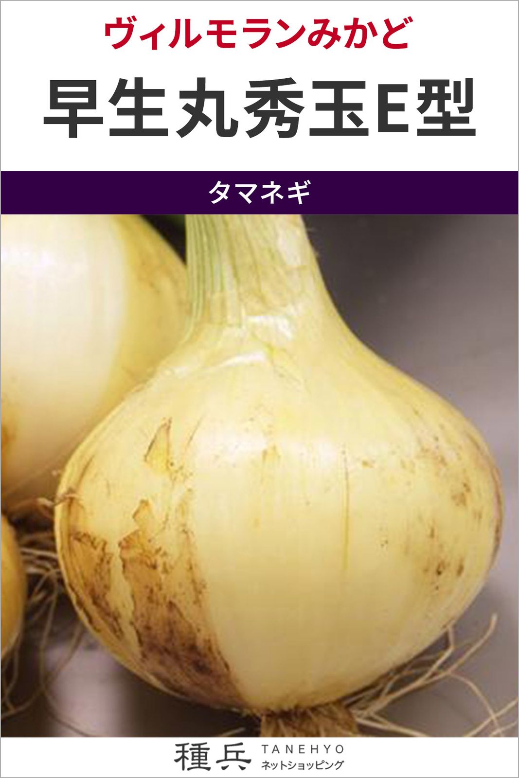 たね,根菜の種,タマネギ,極早生～早生タマネギ | 種兵ネットショッピング
