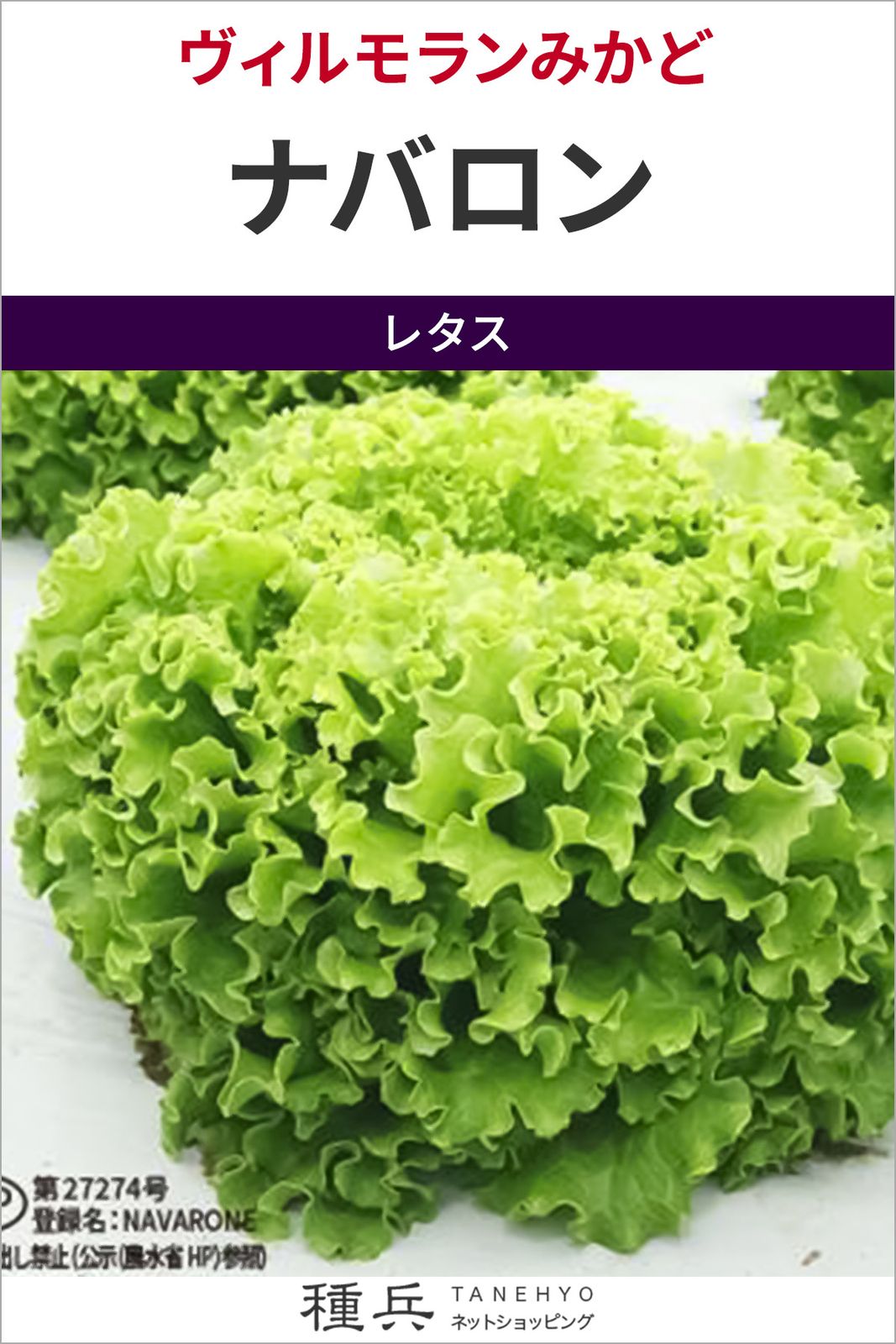 リーフレタス 種 『ナバロン』  ヴィルモランみかど