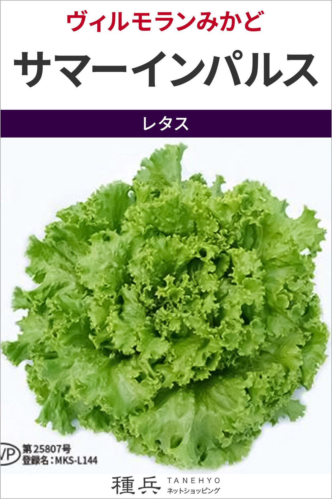 リーフレタス 種 『サマーインパルス』  ヴィルモランみかど