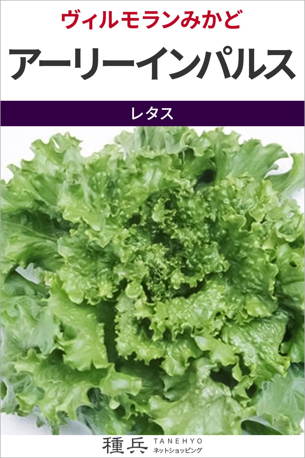 リーフレタス 種 『アーリーインパルス』  ヴィルモランみかど