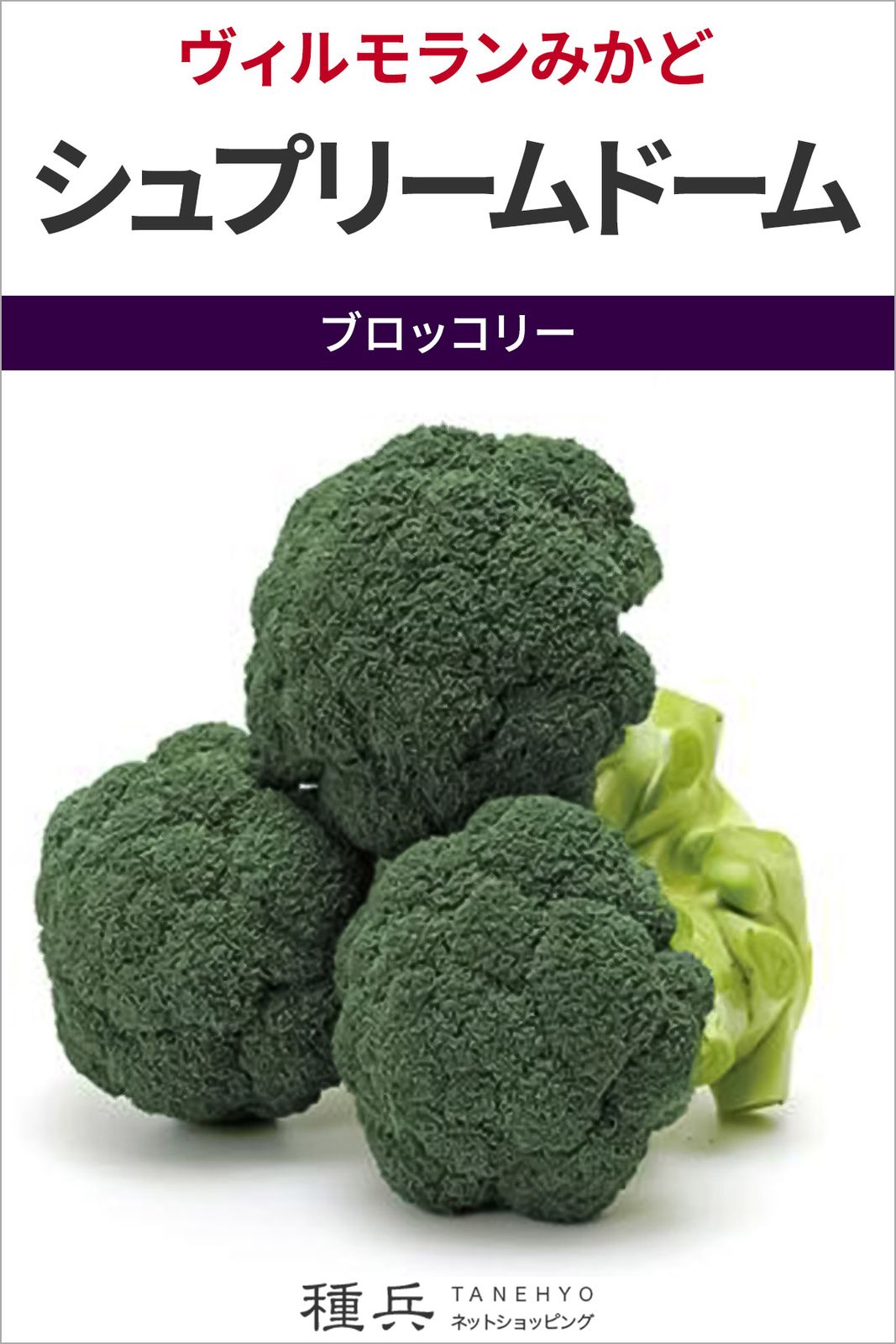 ブロッコリー 種 『MKS-B101』  ヴィルモランみかど